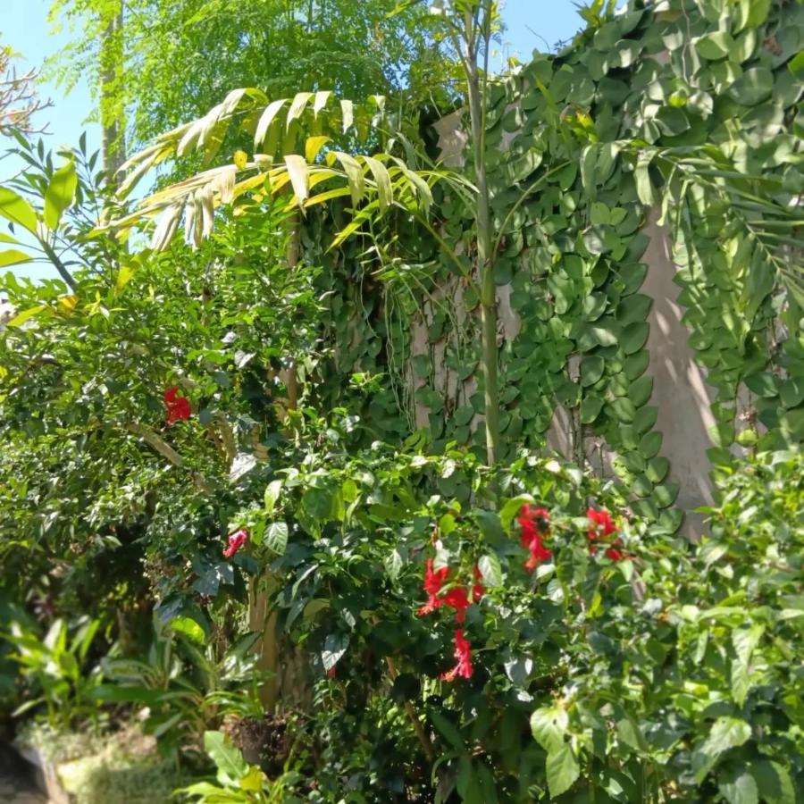 Coliving Bali Sweet Home Kost Lengkap Di Tabanan Kota Экстерьер фото